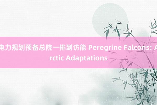 电力规划预备总院一排到访能 Peregrine Falcons: Arctic Adaptations