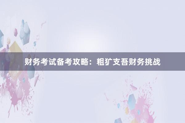 财务考试备考攻略：粗犷支吾财务挑战
