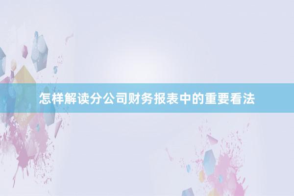 怎样解读分公司财务报表中的重要看法