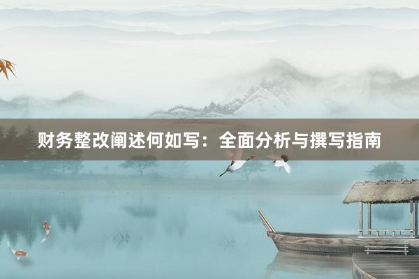 财务整改阐述何如写：全面分析与撰写指南
